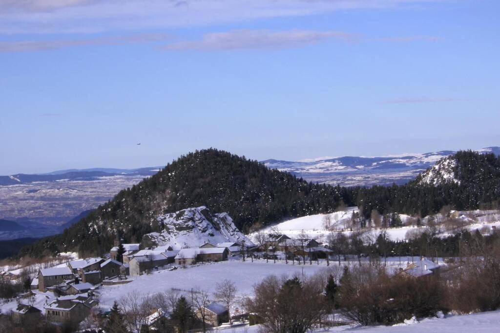 Pialous:Chalet En Rondins Avec Espace Detente La Chapelle-d'Aurec Luaran gambar