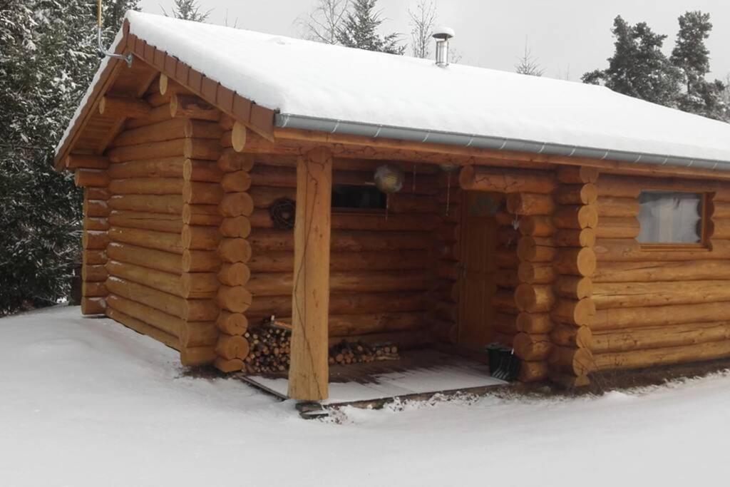 Pialous:Chalet En Rondins Avec Espace Detente La Chapelle-d'Aurec Luaran gambar
