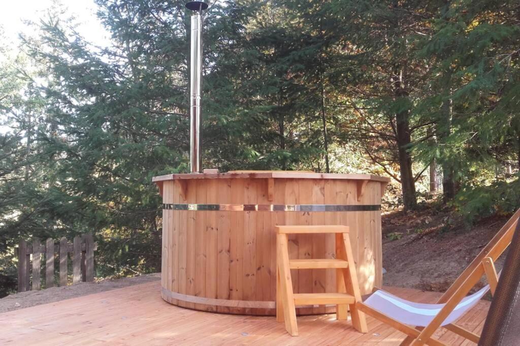 Pialous:Chalet En Rondins Avec Espace Detente La Chapelle-d'Aurec Luaran gambar